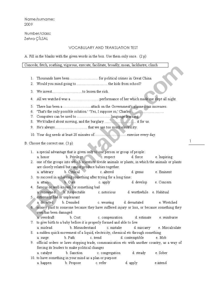 A VOCABULARY TEST worksheet