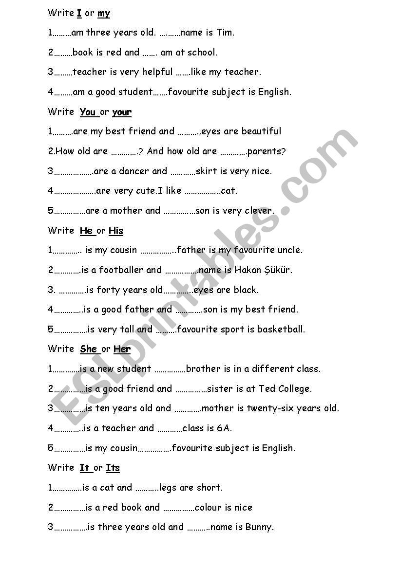 possesive adjectives worksheet