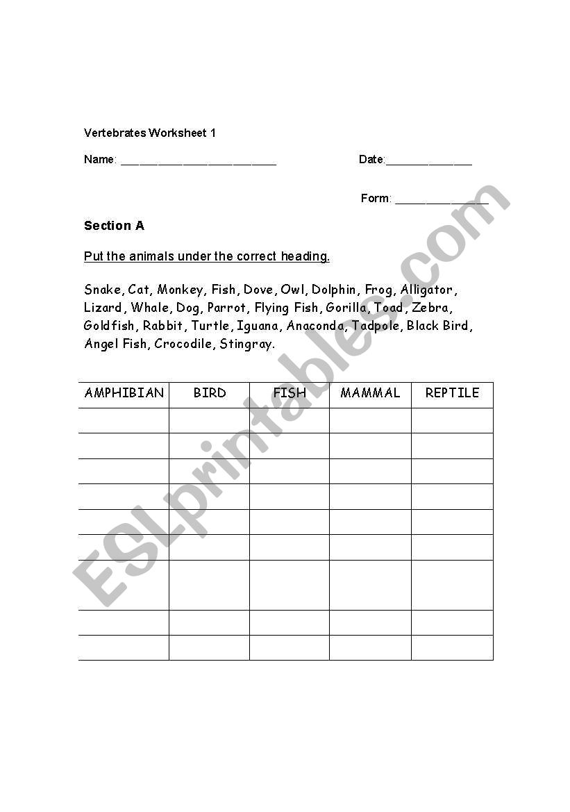 Vertebrates worksheet