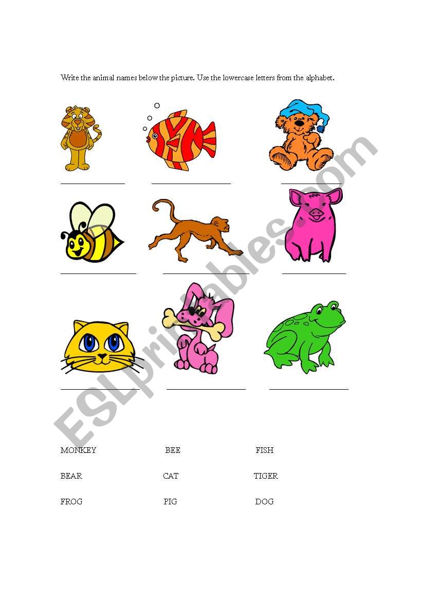 Animals and abc worksheet