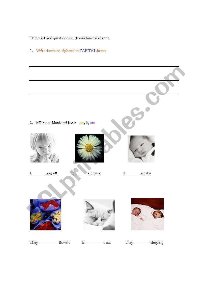 Testing basic English worksheet