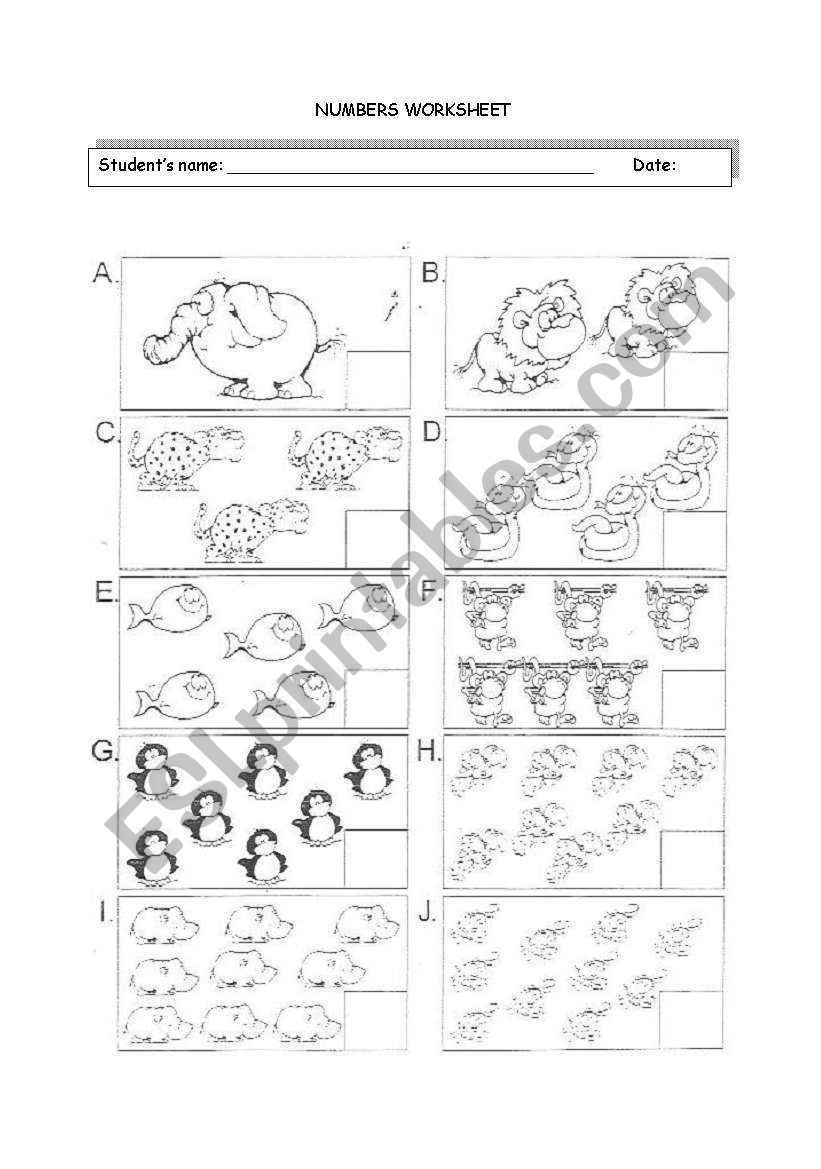 Numbers worksheet