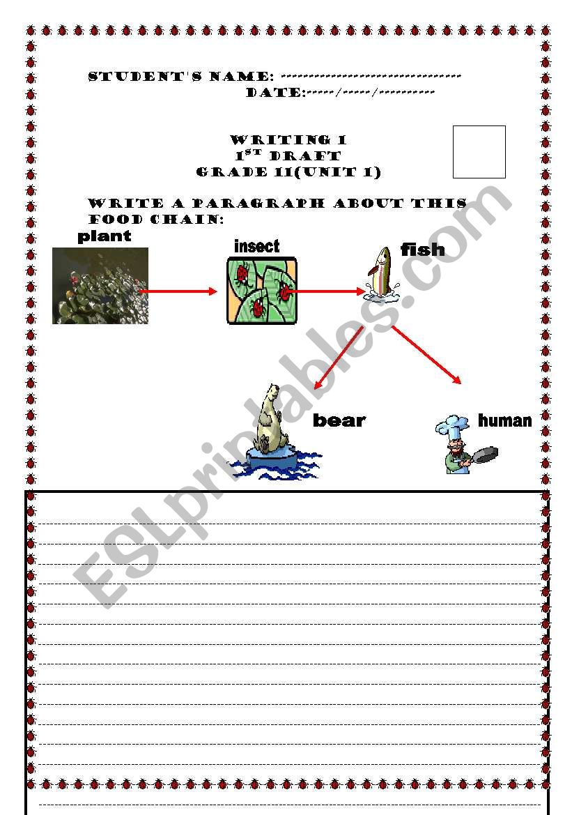 write about this food chain worksheet