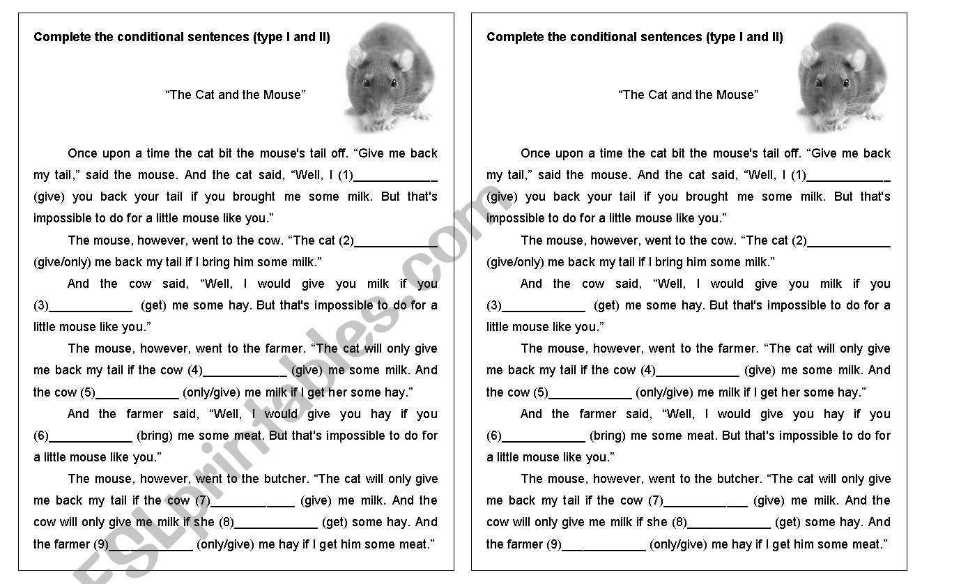 The Cat and the Mouse (If clauses exercise)