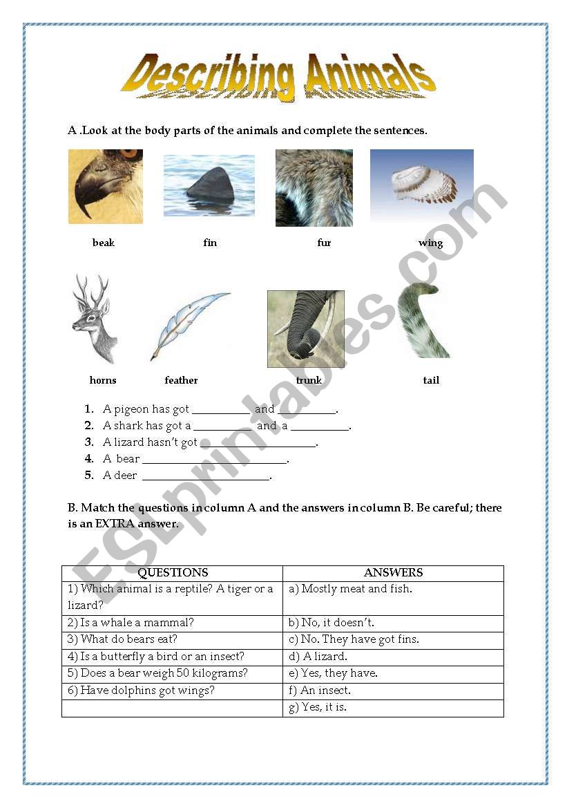 Describing Animals worksheet