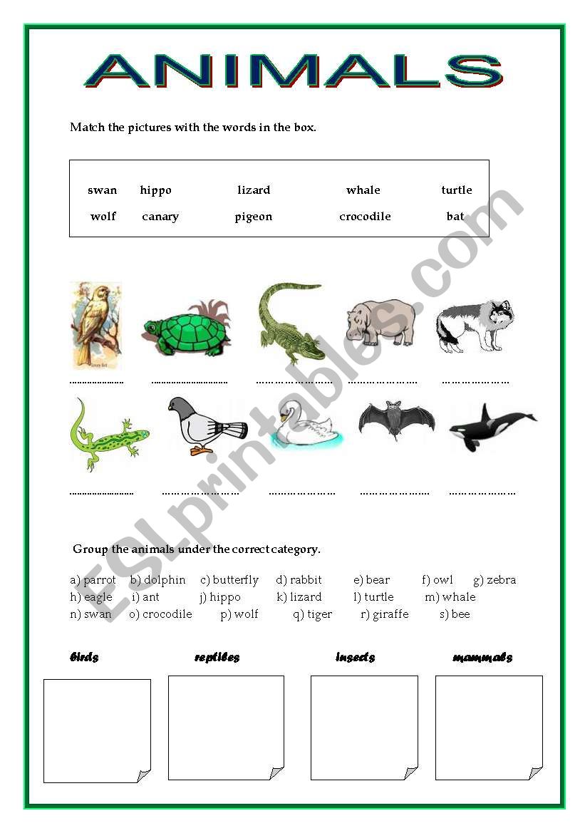 Animals  worksheet