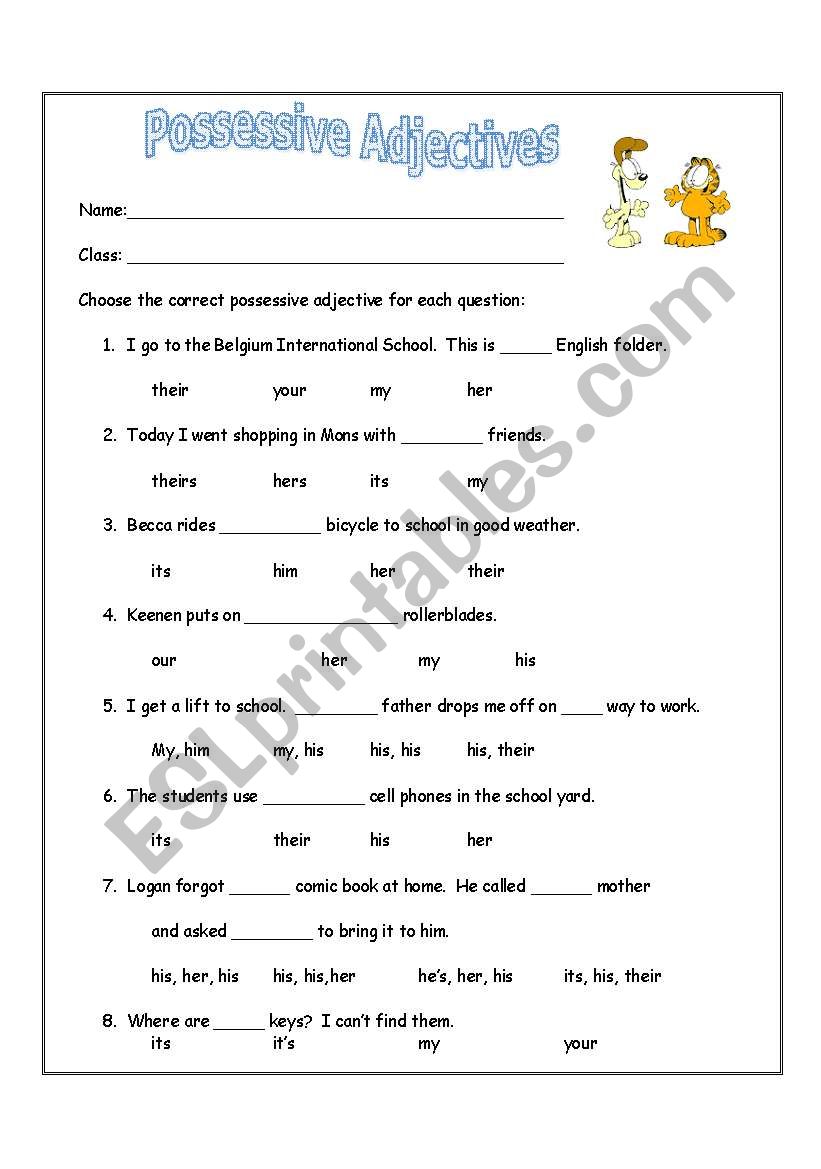 Possessive Adjectives worksheet