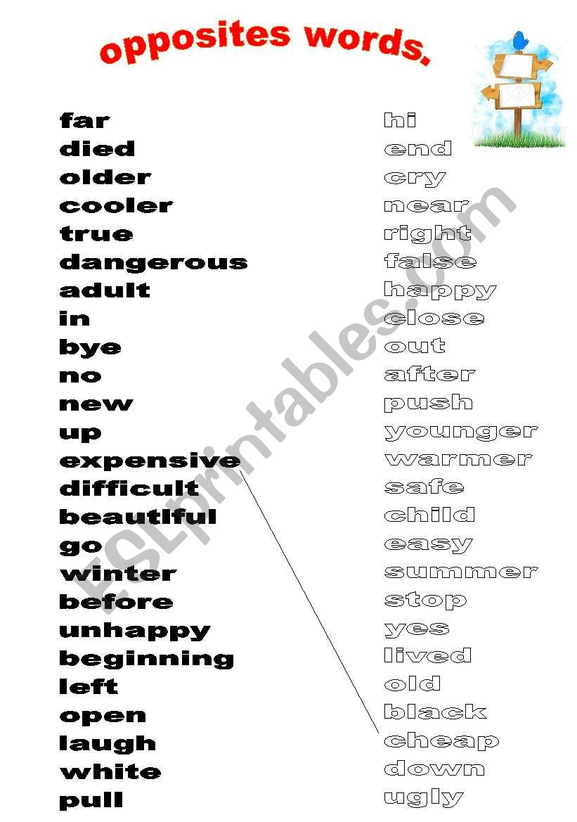 opposites worksheet