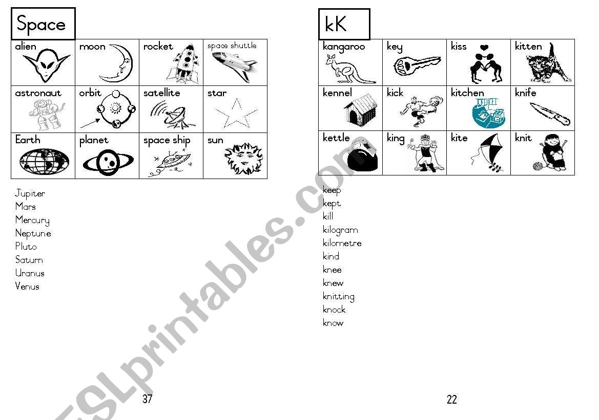 A5 Picture Dictionary 23 worksheet