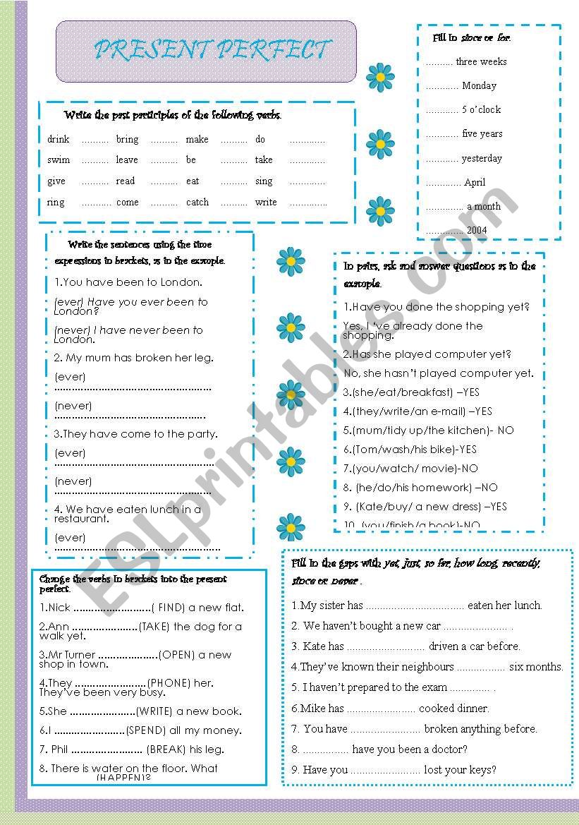 PRESENT PERFECT worksheet