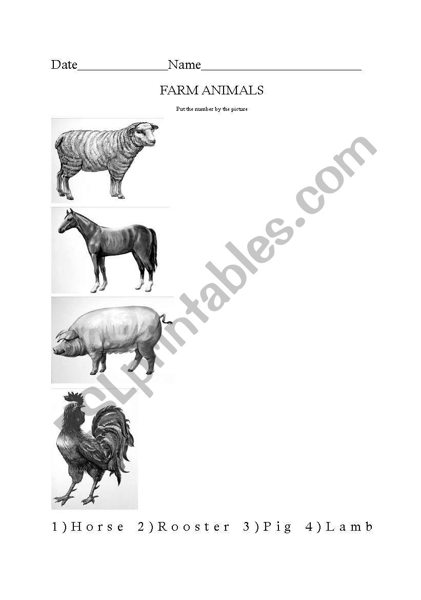 Farm animals worksheet