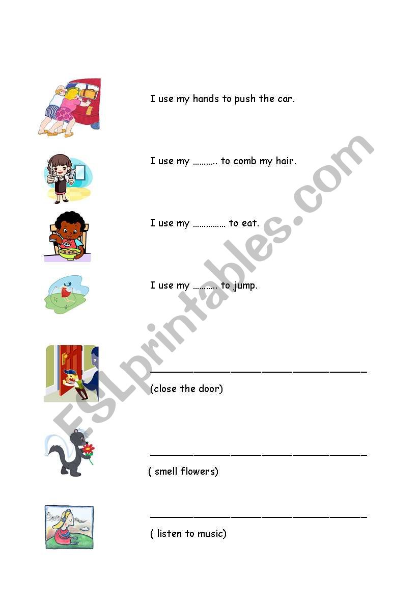 body parts worksheet