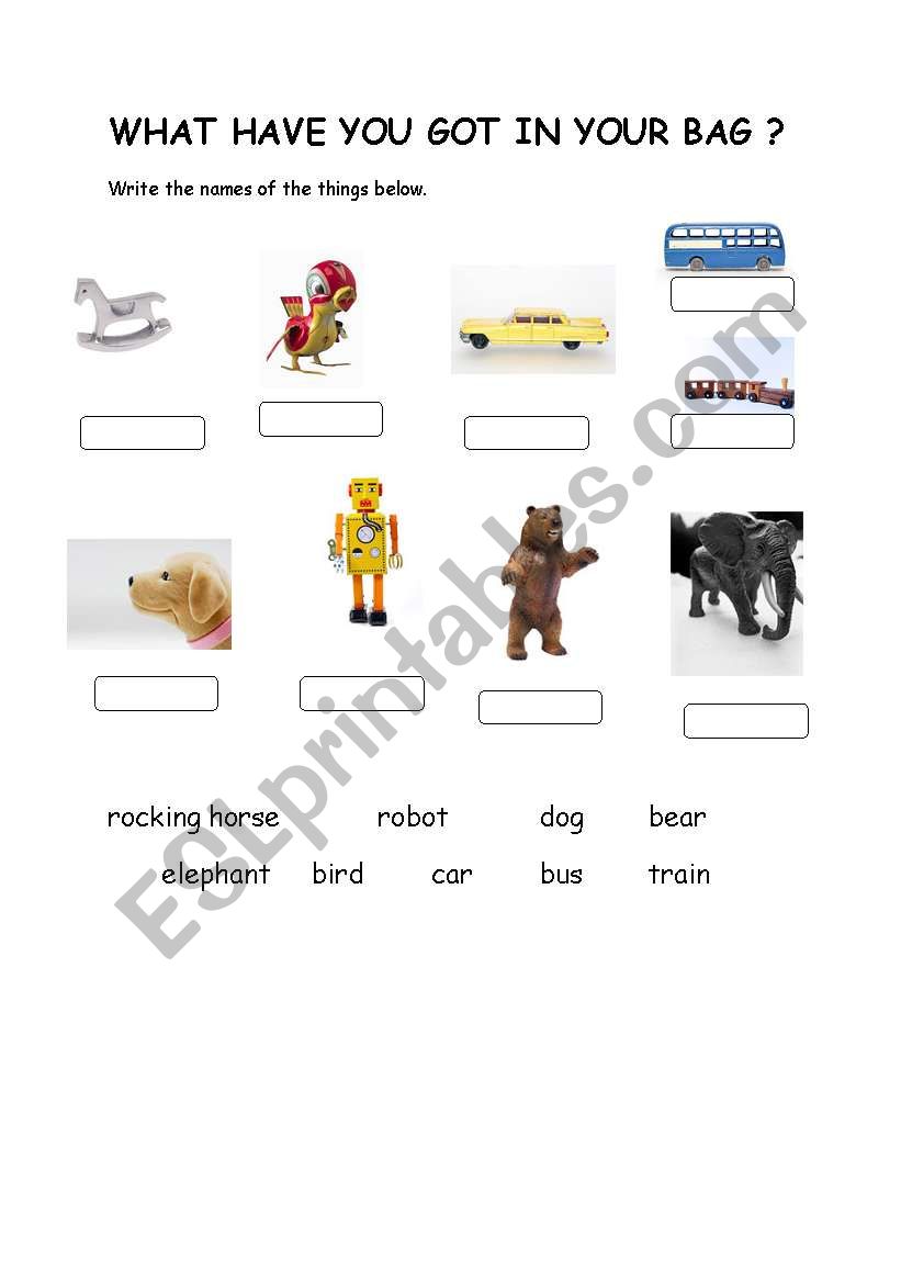 have got / has got worksheet