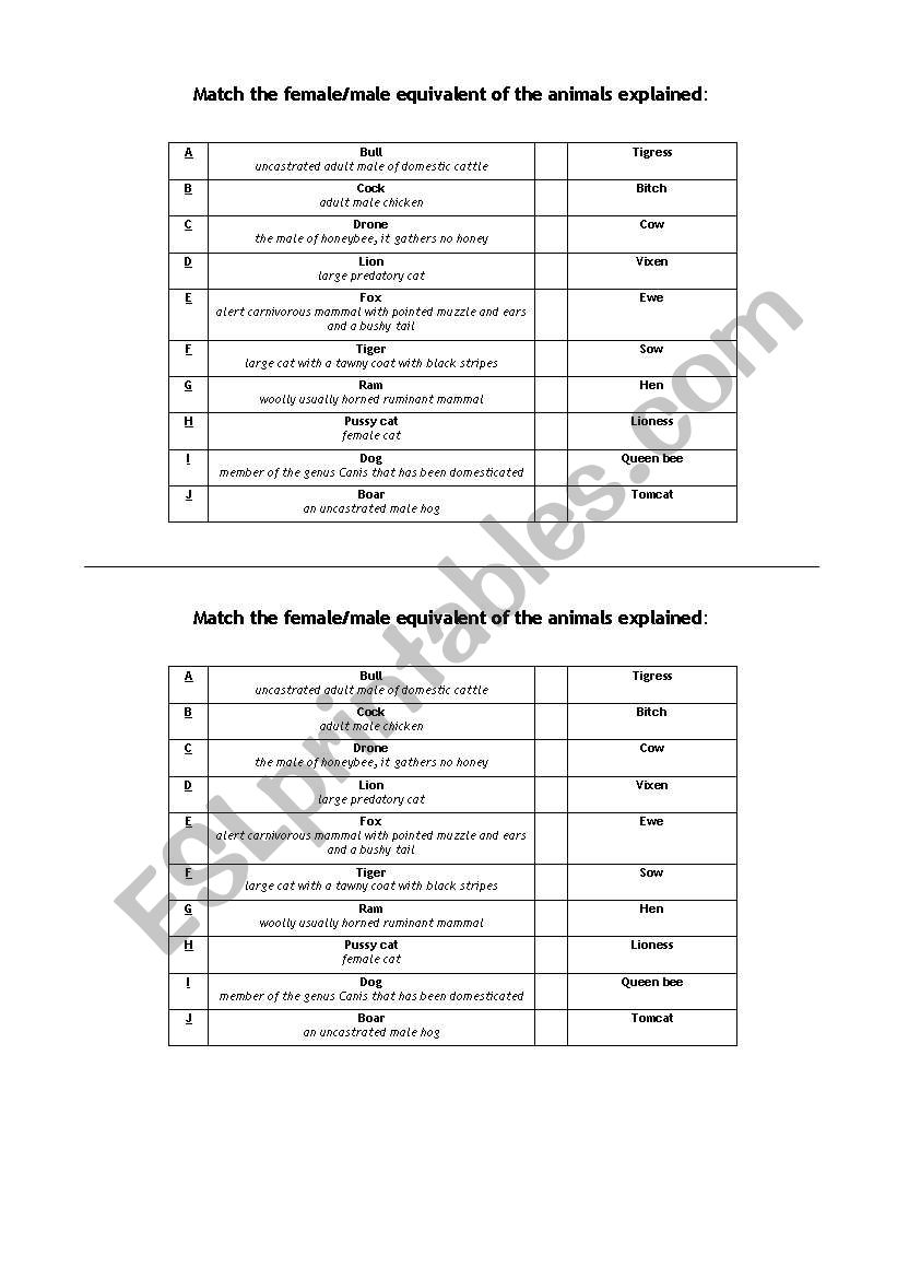 Animals - Male and Female worksheet