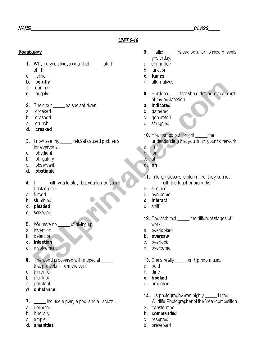 vocabulary worksheet