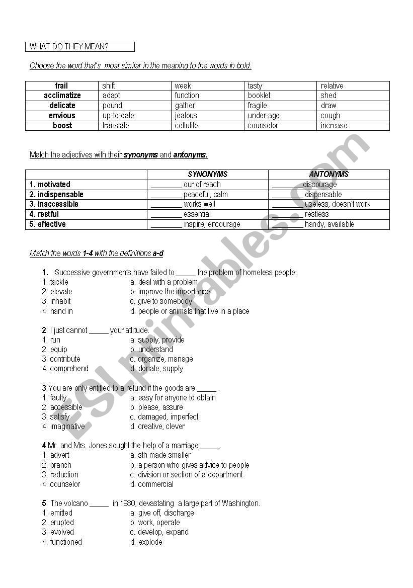 VOCABULARY PRACTICE worksheet