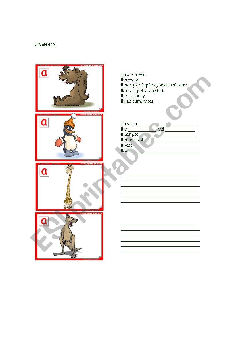 Describing animals worksheet