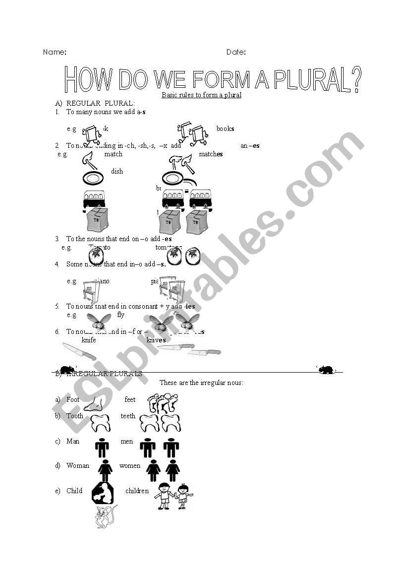 plurals worksheet