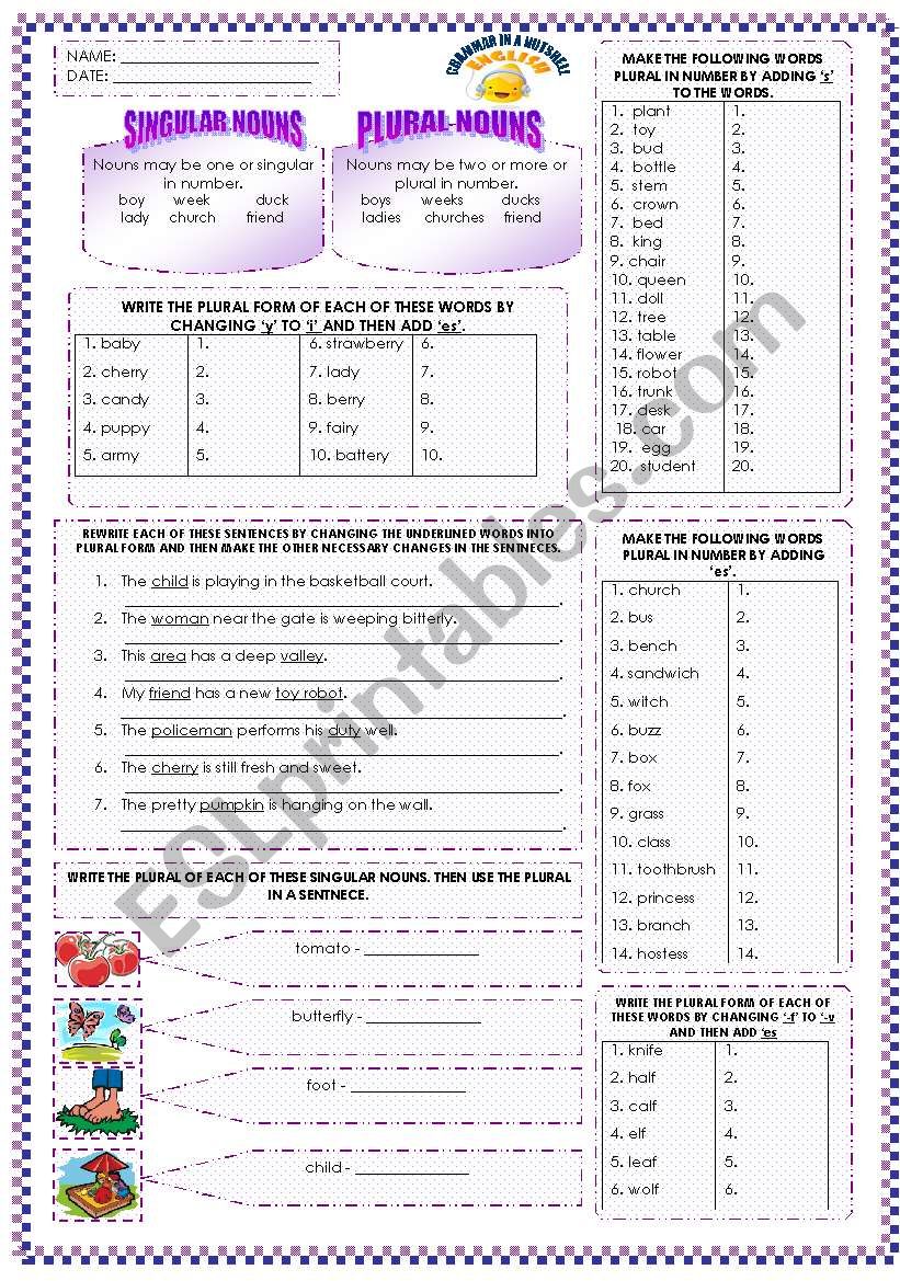 SINGULAR  AND PLURAL NOUNS worksheet