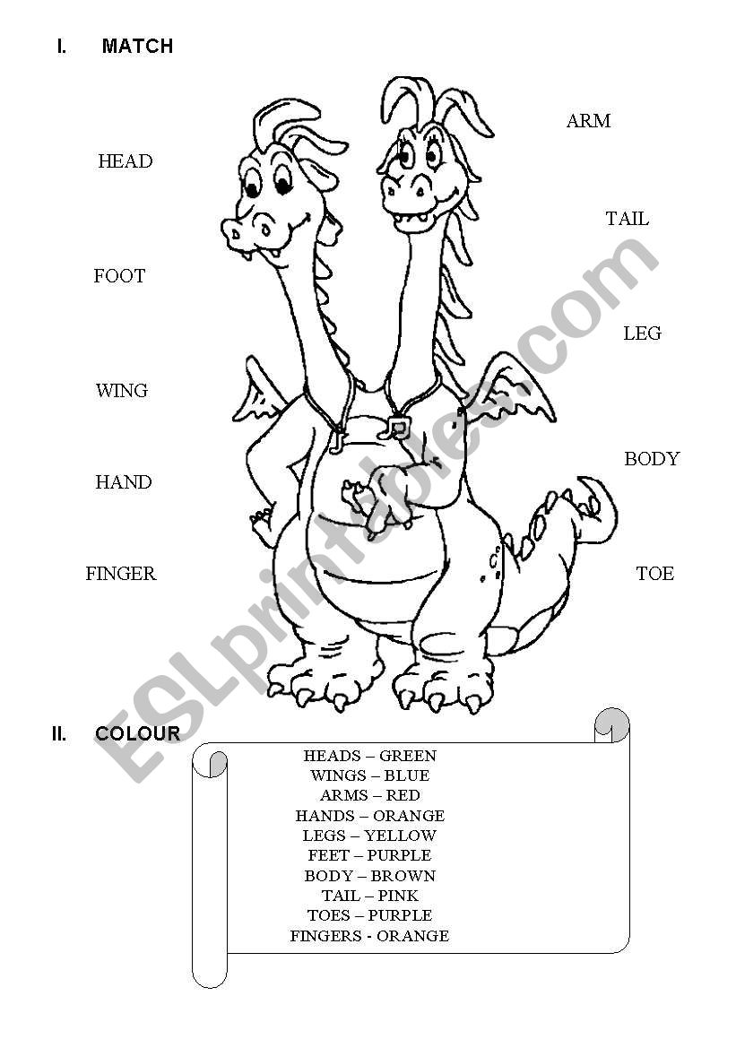 BODY AND COLOURS worksheet