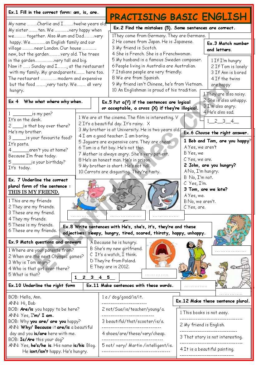 Practising basic English worksheet