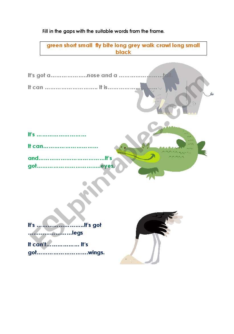 Animals body worksheet