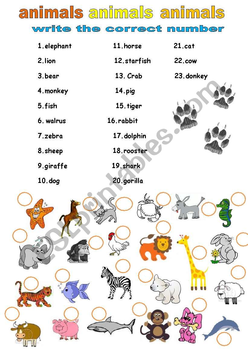 animals names worksheet