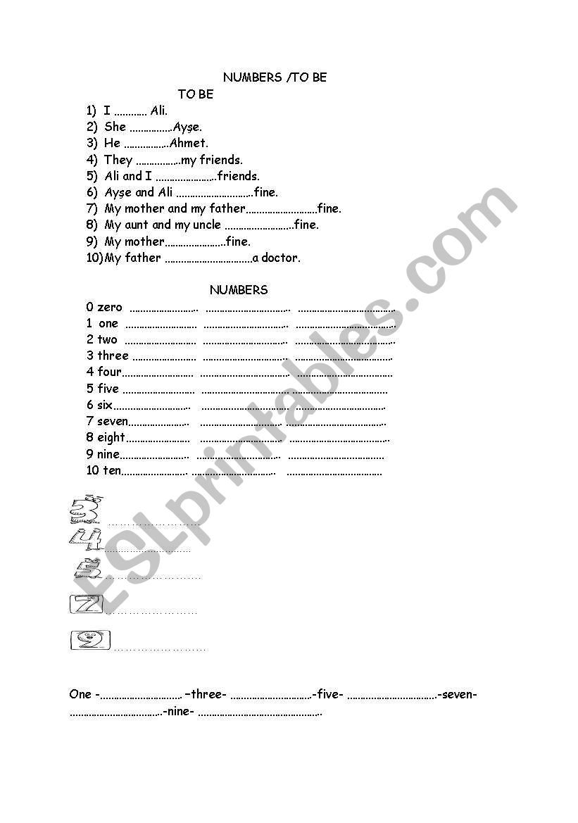 NUMBERS  worksheet