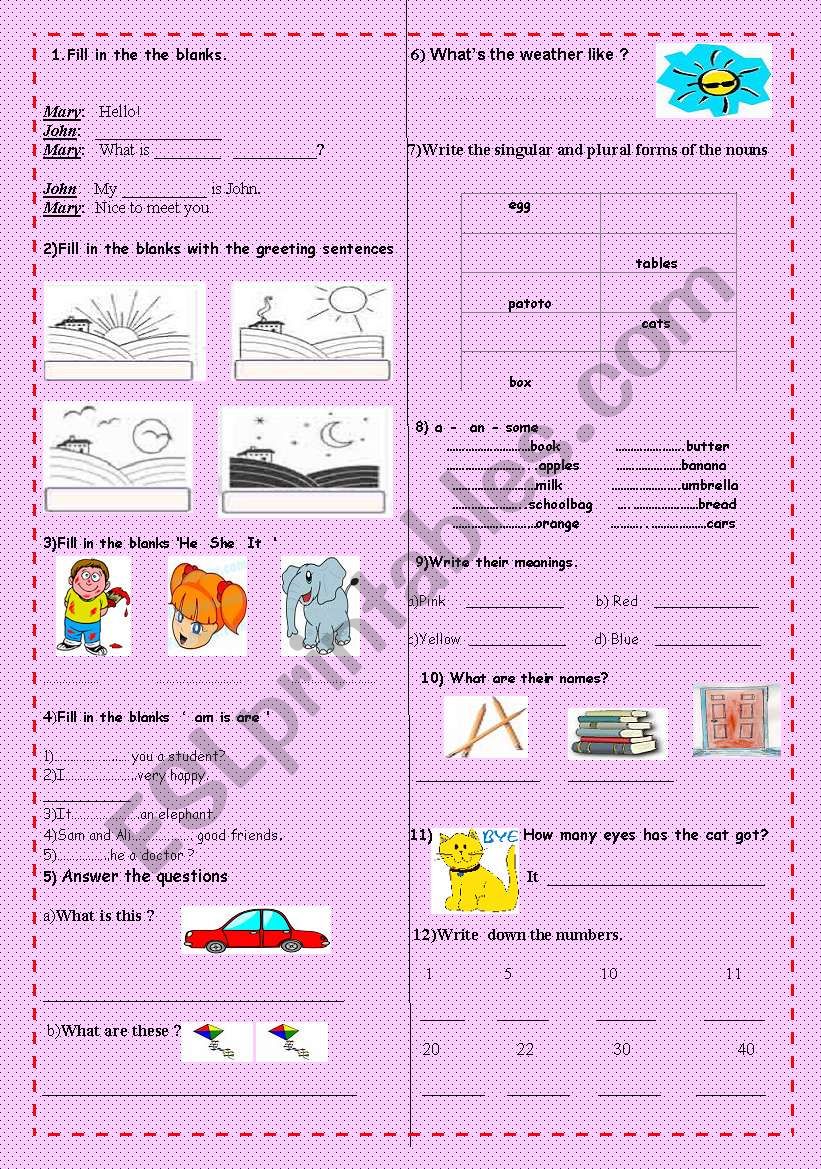 test  for  beginners  worksheet