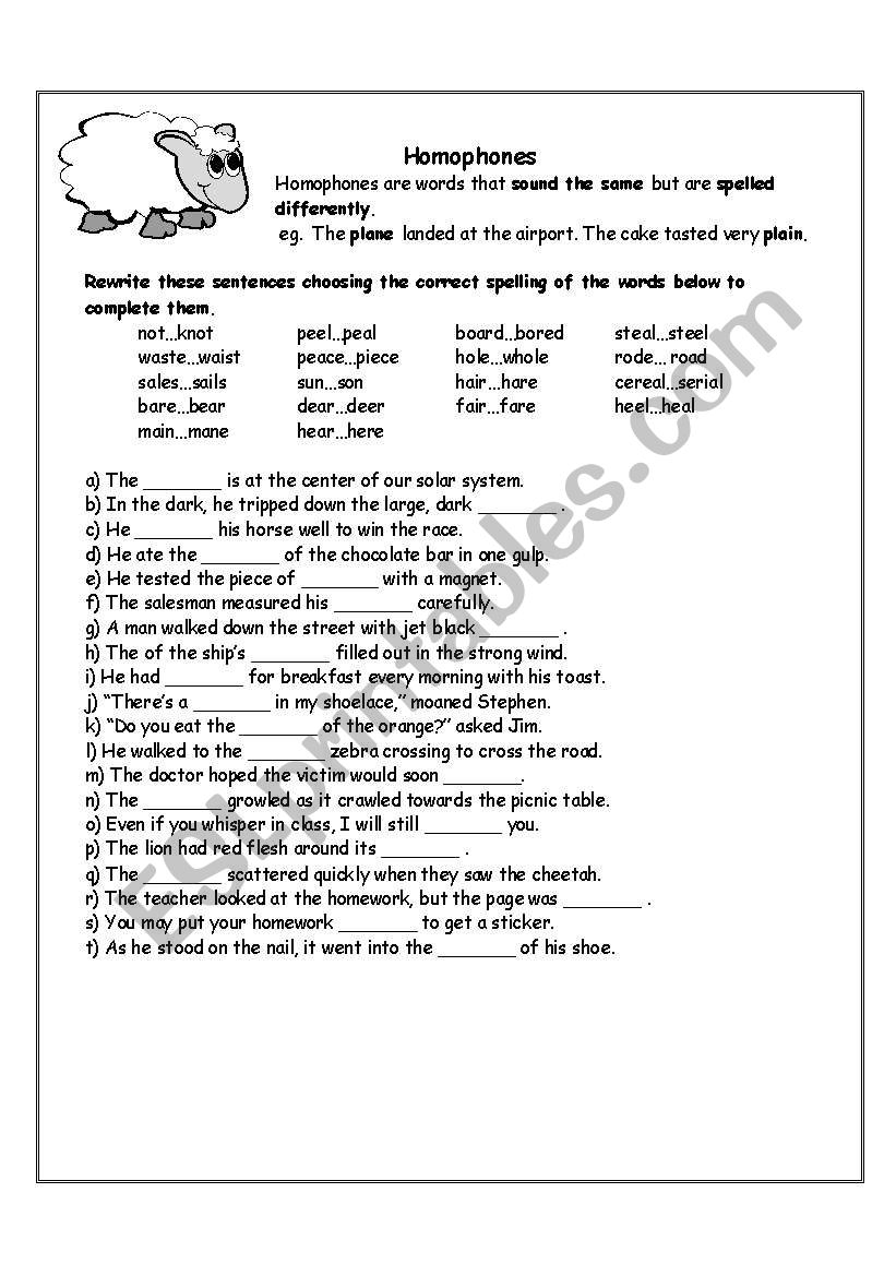 Homohphones worksheet