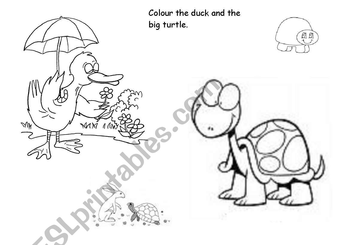 My favourite pet worksheet