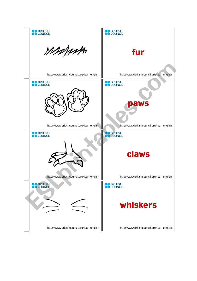 body parts worksheet