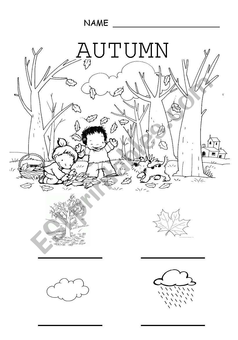 Autumn worksheet