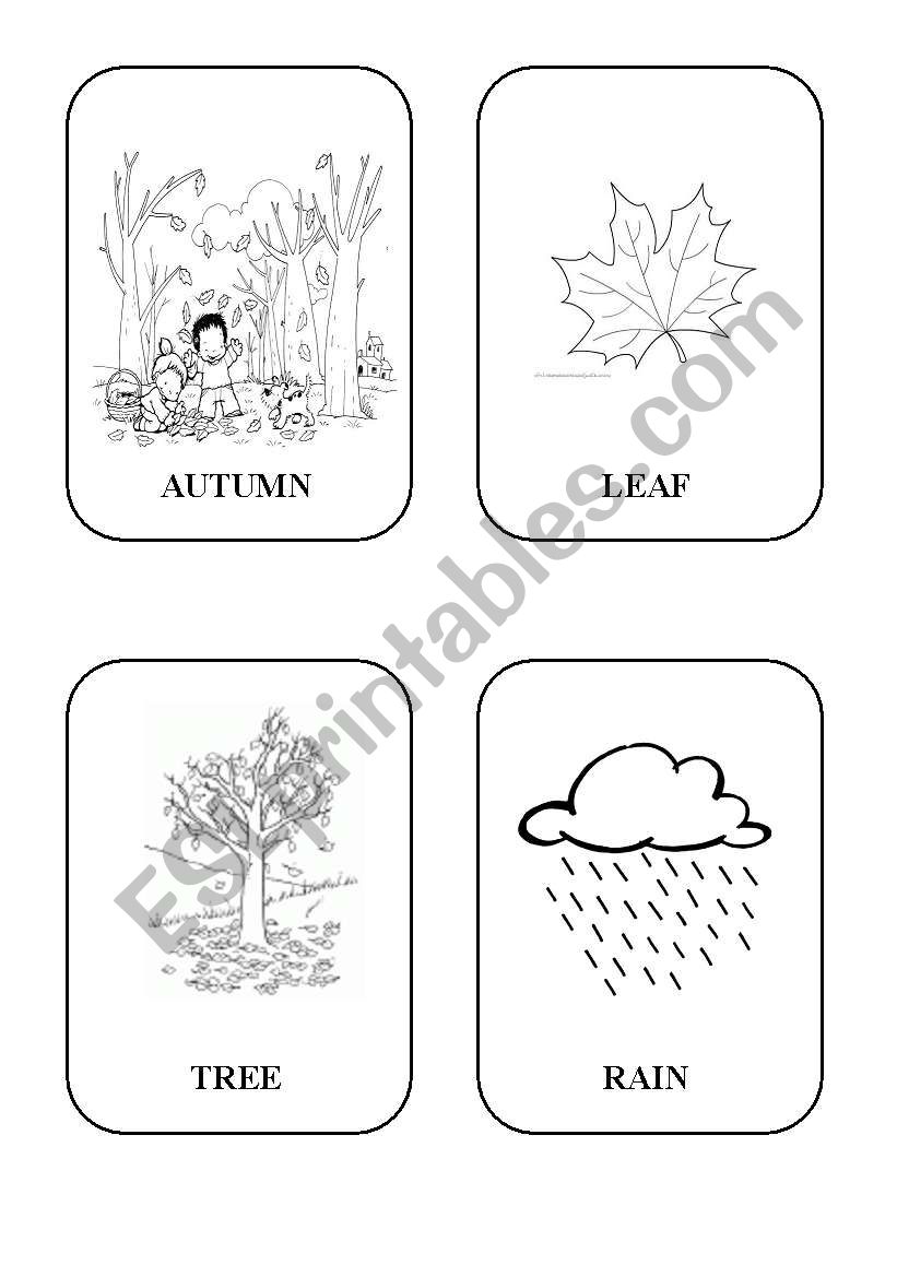 Autumn flashcards worksheet