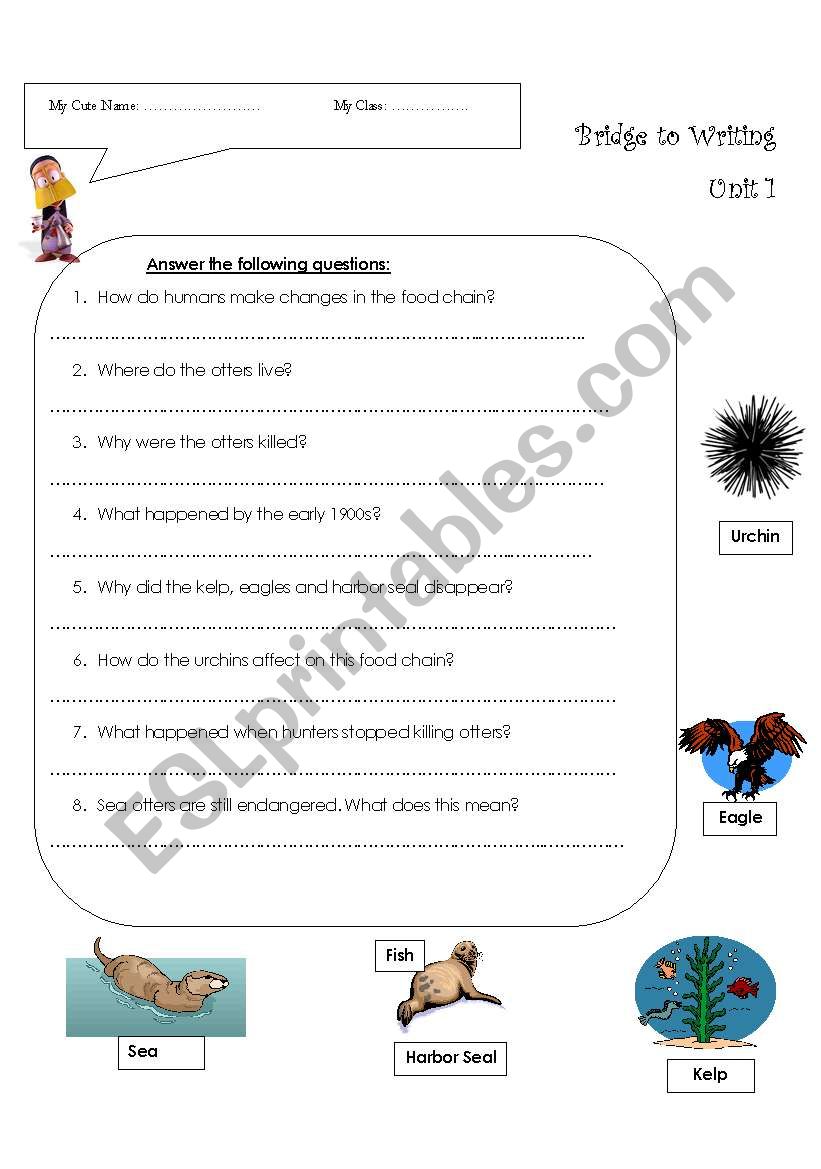 Food Chains worksheet