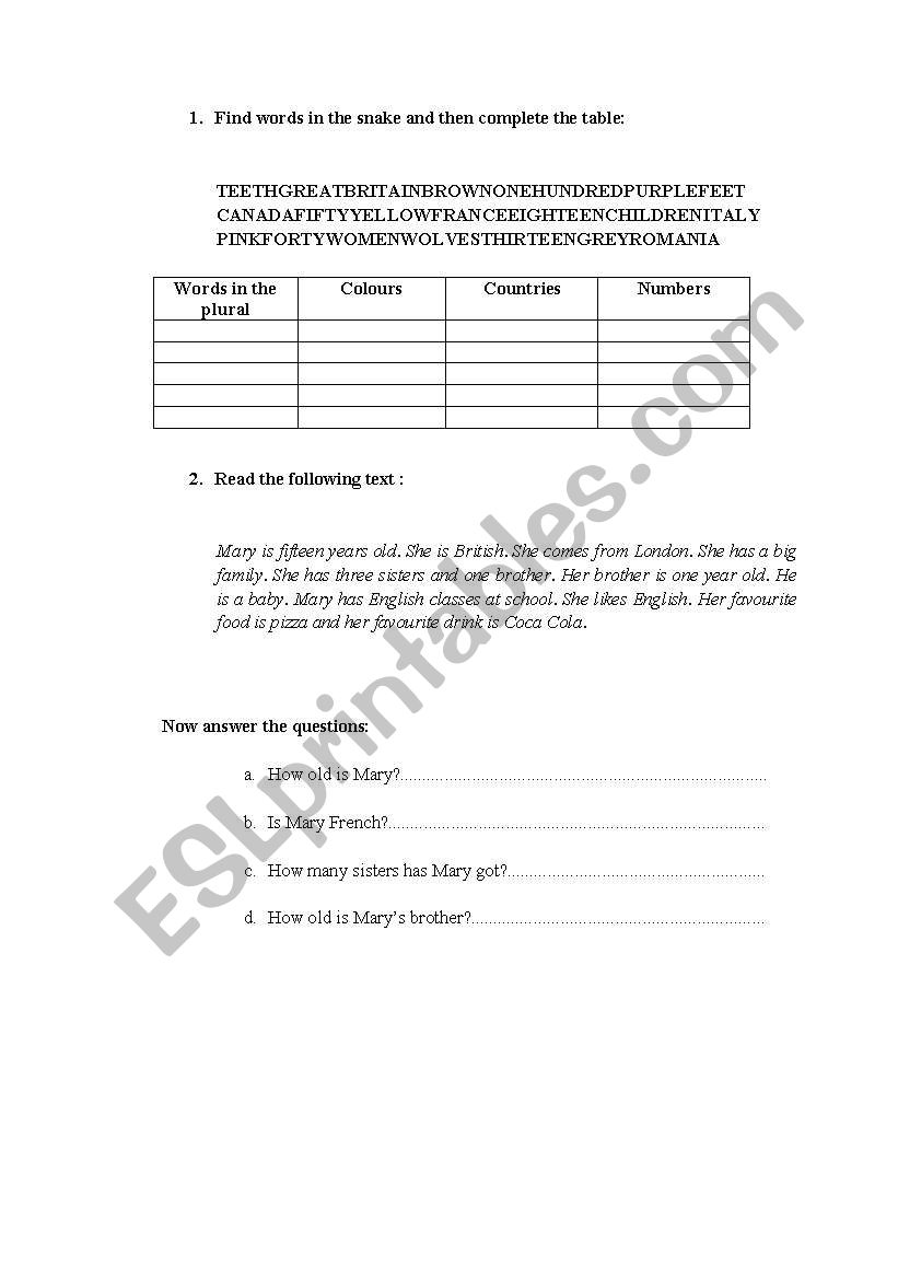 Vocabulary worksheet