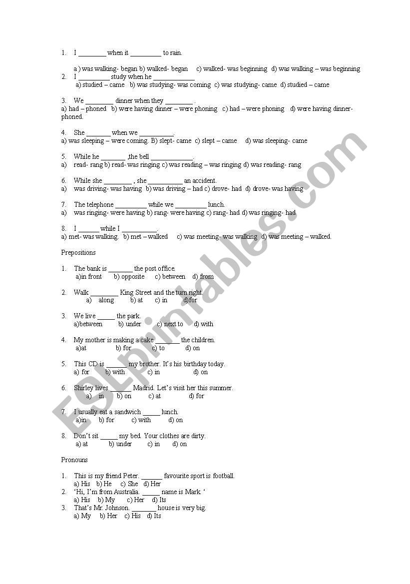 past simple ana past cont worksheet