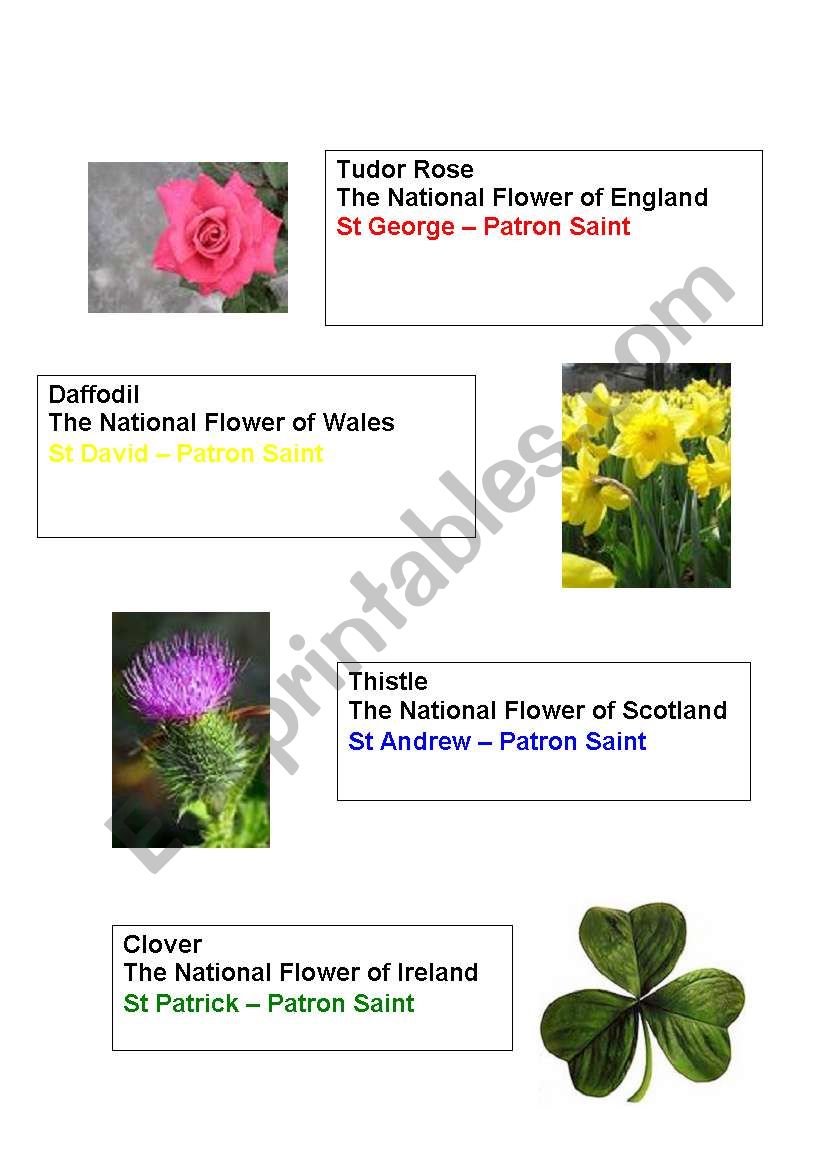 National flowers and saints of UK