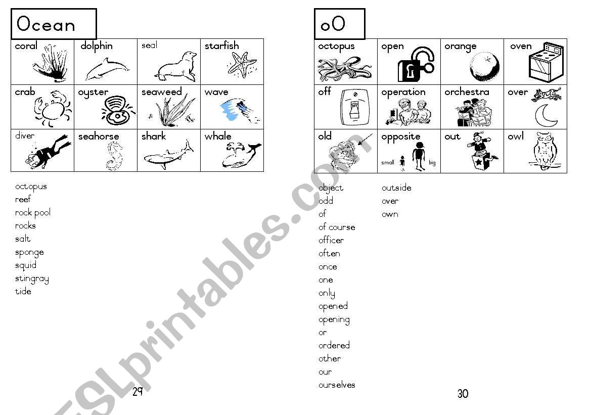 A5 Picture Dictionary 30 worksheet