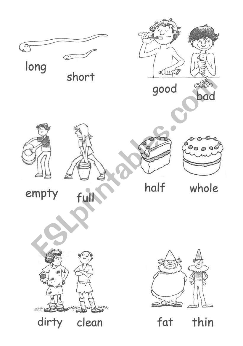 opposites worksheet