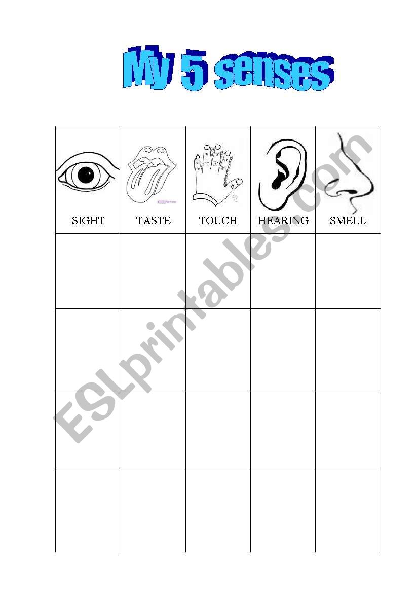 CHOOSE THE RIGHT SENSE worksheet