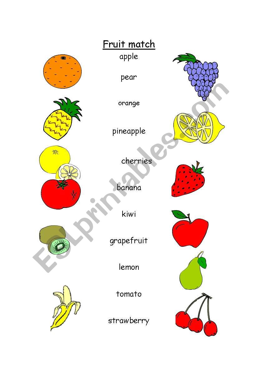 fruit match worksheet