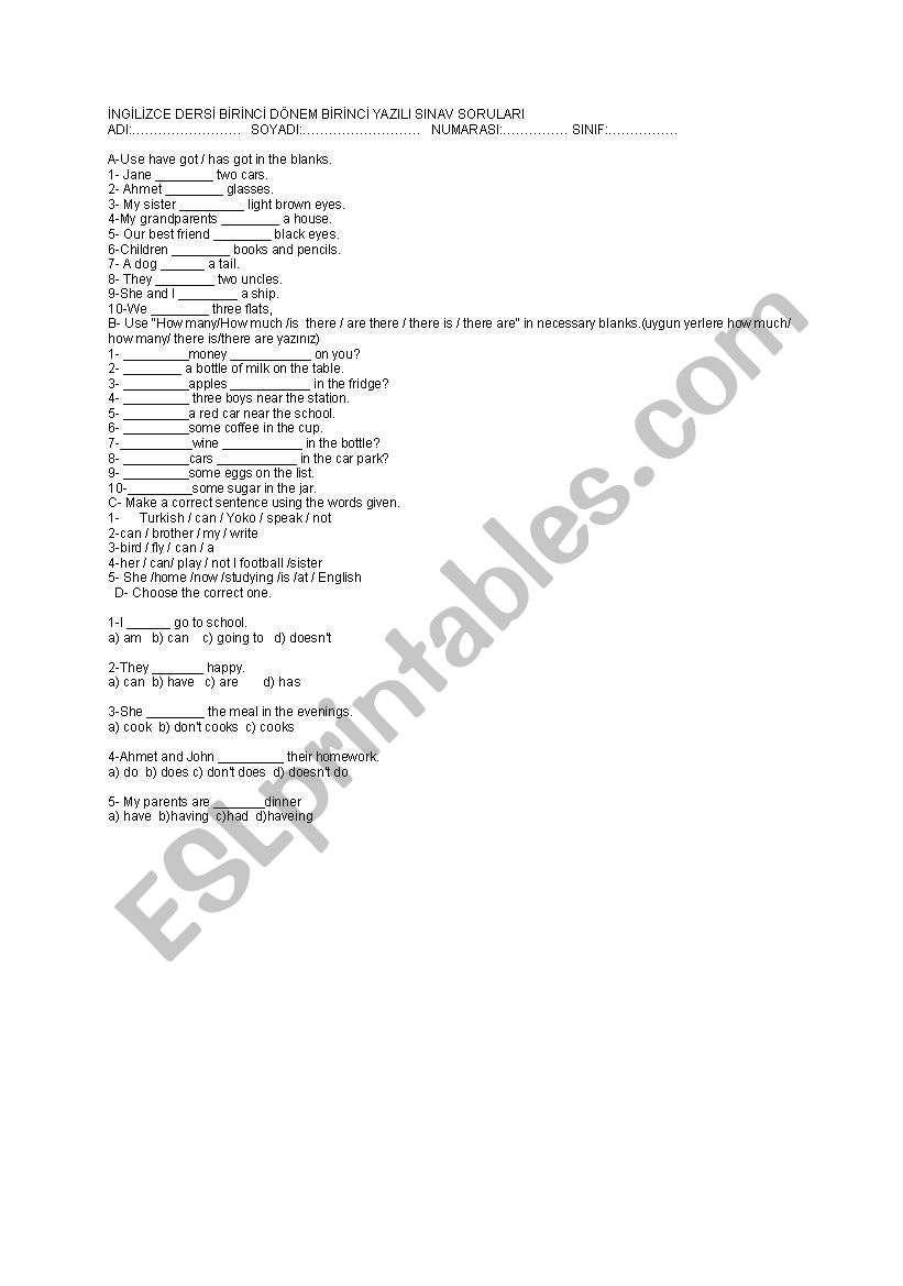 Simple Present Exercise worksheet
