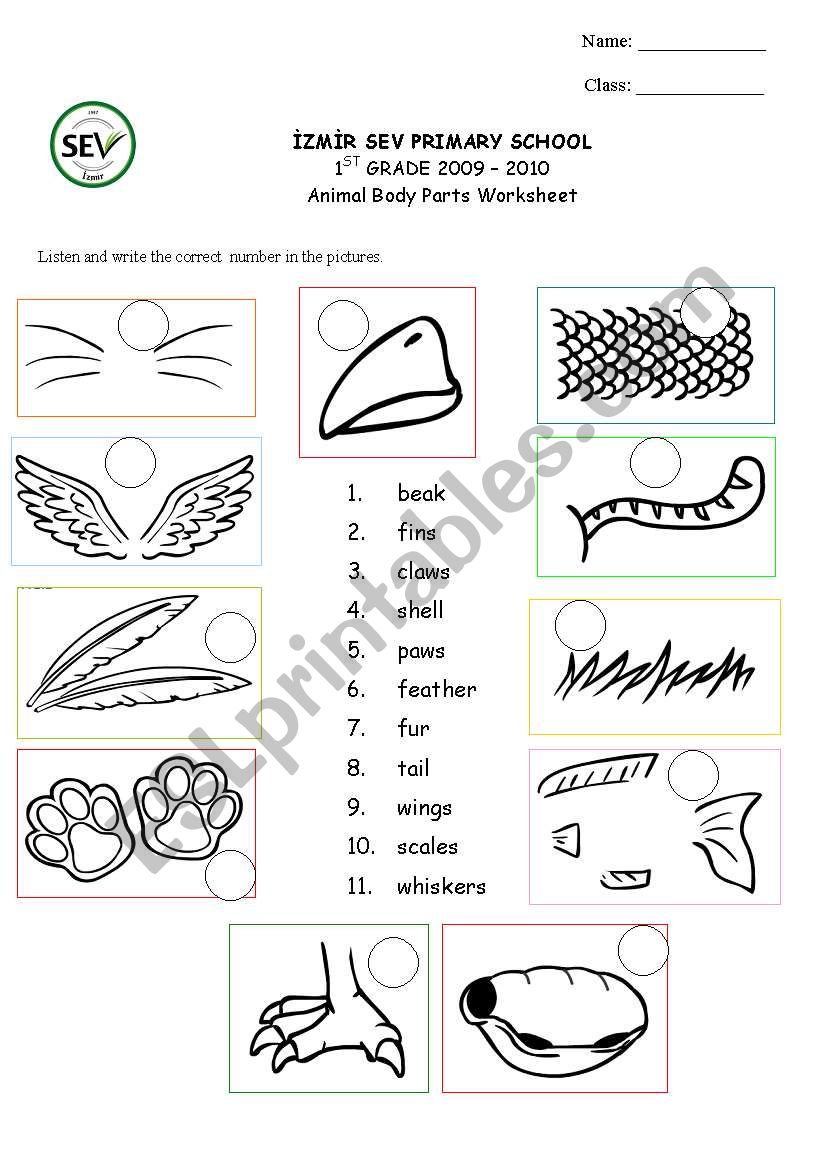 Animal body parts worksheet