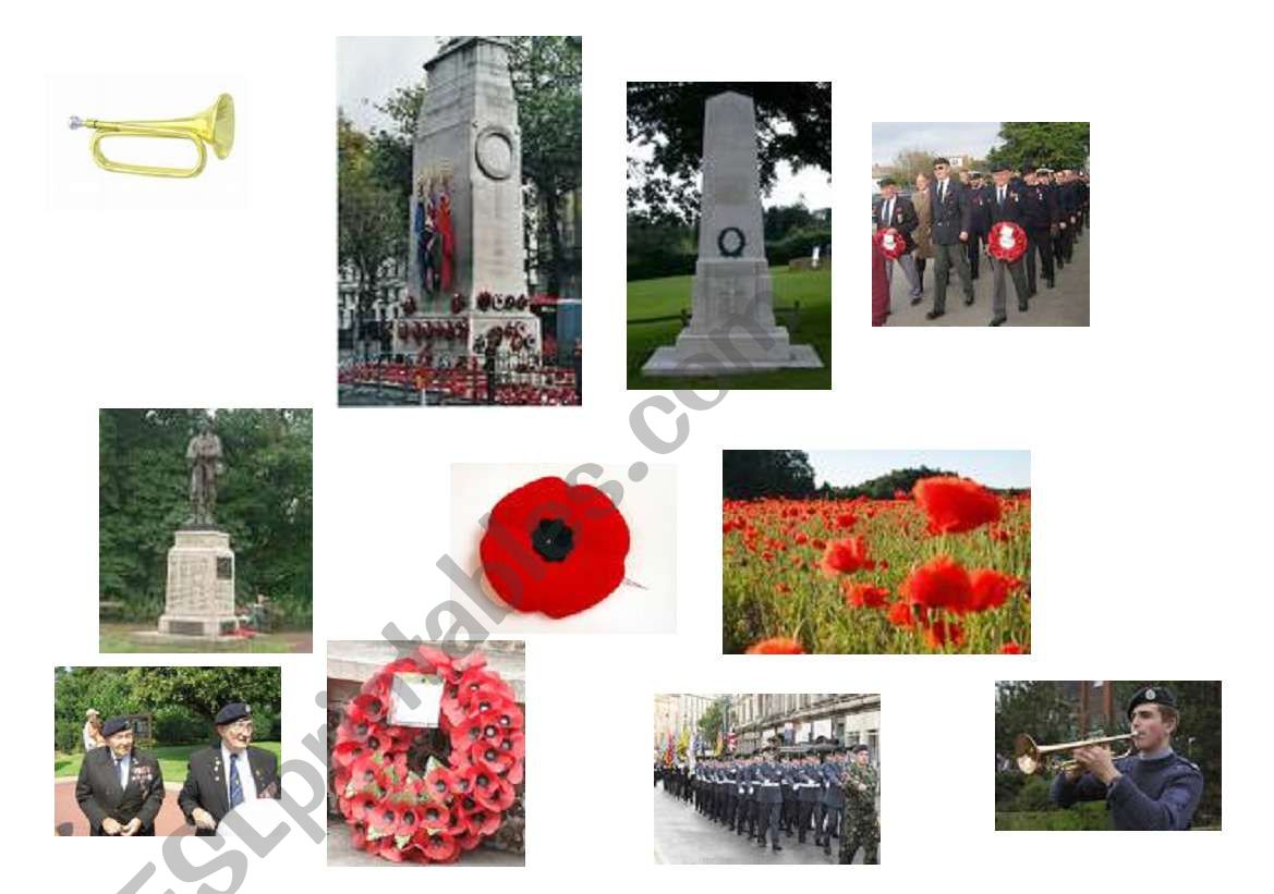 Remembrance Day in Britain worksheet