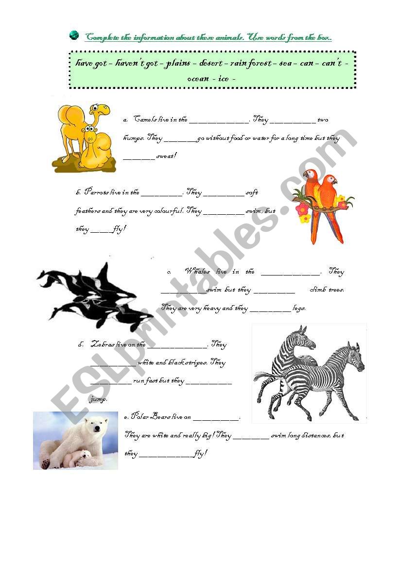 Animals! worksheet