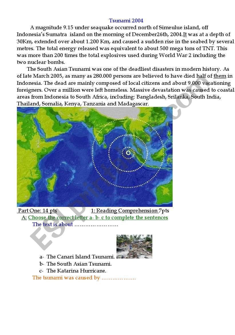 Tsunami 2004 worksheet