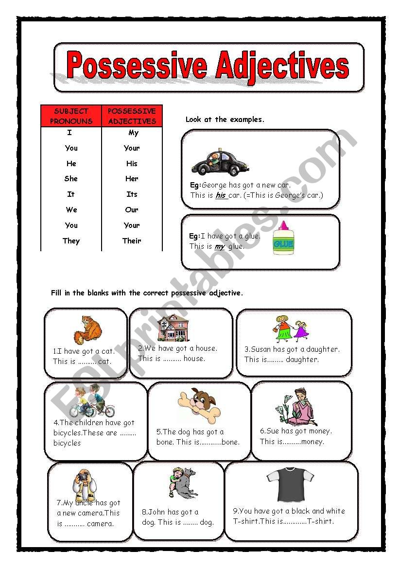 POSSESSIVE ADJECTIVES worksheet