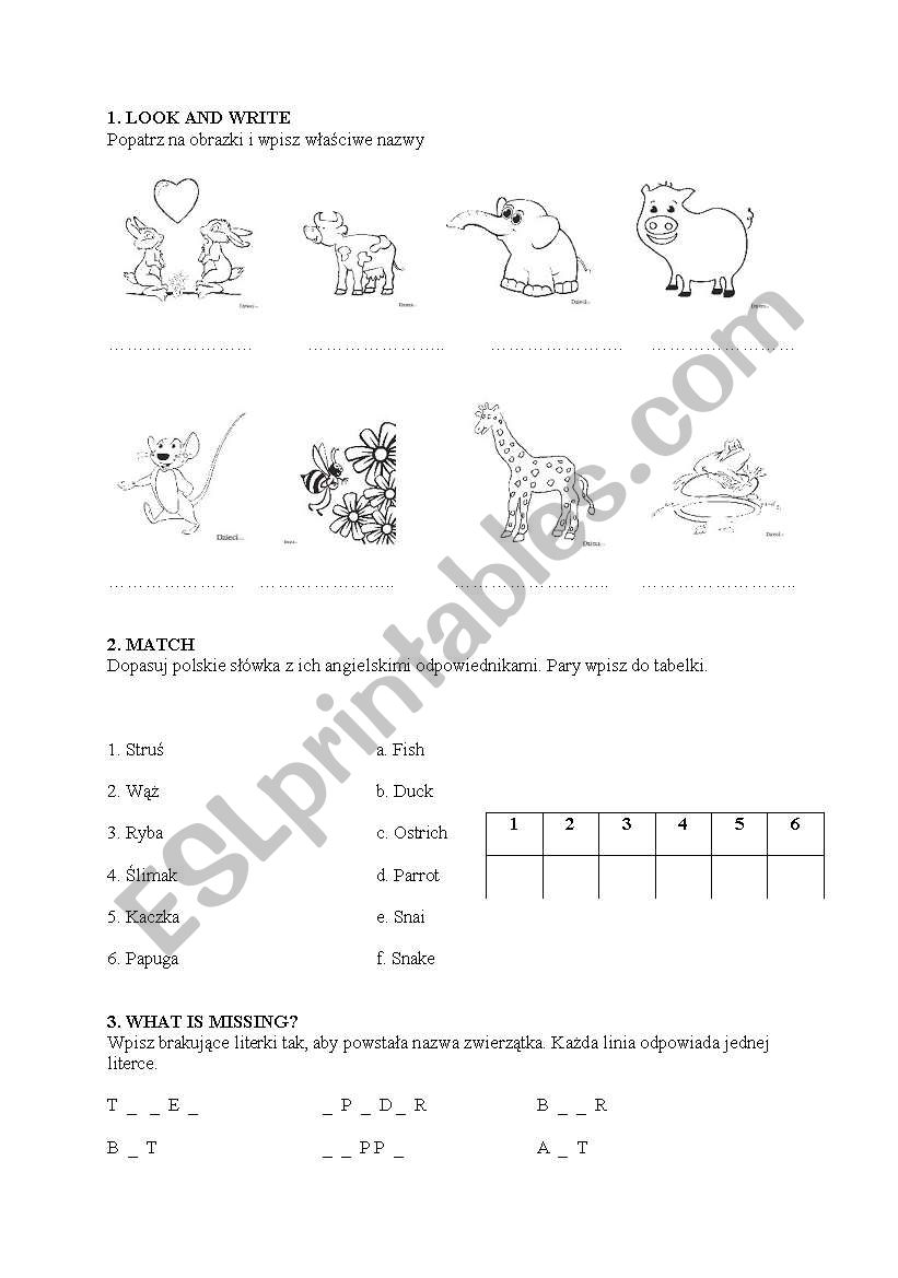 animal test worksheet