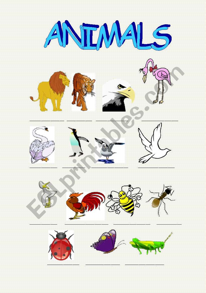 ANIMALS part1 worksheet